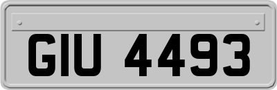 GIU4493