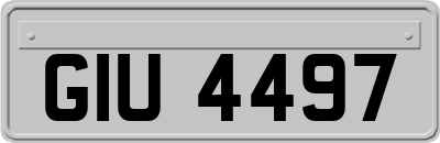 GIU4497
