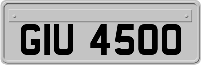 GIU4500