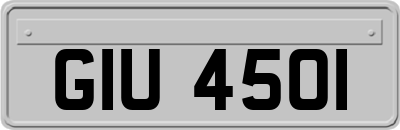 GIU4501