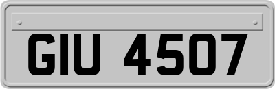 GIU4507