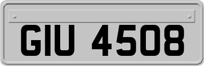 GIU4508