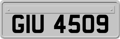 GIU4509