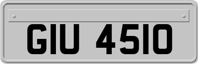 GIU4510