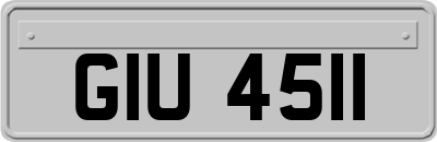 GIU4511