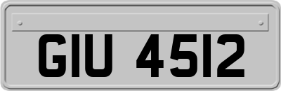 GIU4512