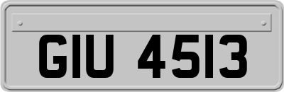 GIU4513
