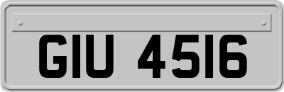 GIU4516
