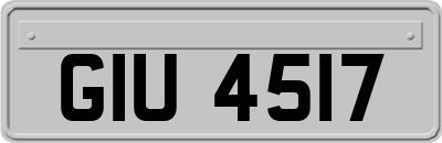 GIU4517