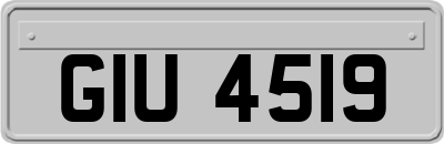 GIU4519