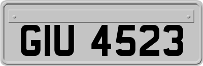 GIU4523