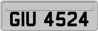 GIU4524