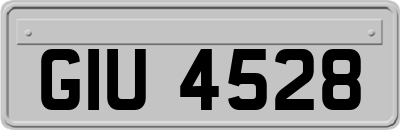 GIU4528