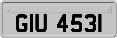 GIU4531
