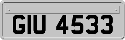 GIU4533