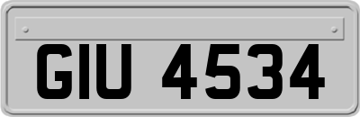 GIU4534