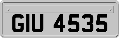 GIU4535