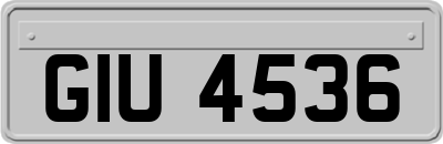 GIU4536