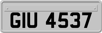 GIU4537