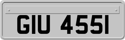 GIU4551