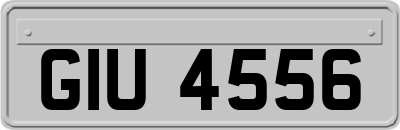 GIU4556