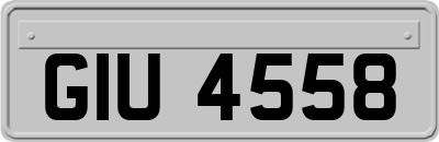 GIU4558