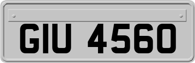 GIU4560