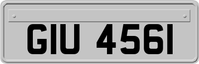 GIU4561
