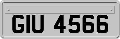 GIU4566