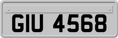 GIU4568
