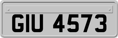 GIU4573
