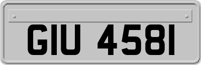 GIU4581