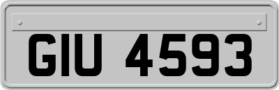 GIU4593
