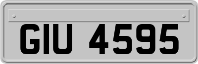GIU4595