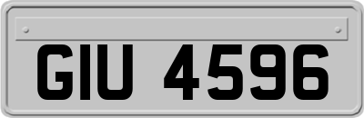 GIU4596