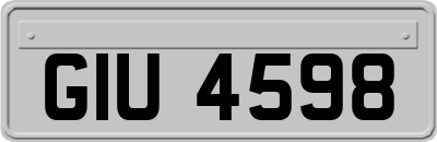 GIU4598