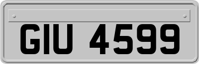 GIU4599