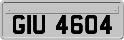 GIU4604