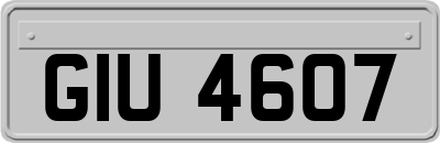 GIU4607