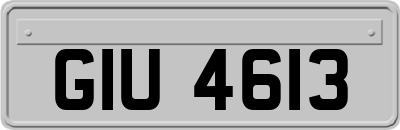 GIU4613