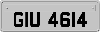 GIU4614