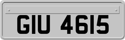 GIU4615