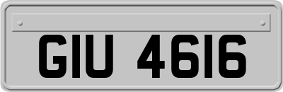 GIU4616