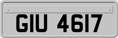 GIU4617