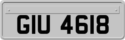 GIU4618