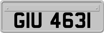 GIU4631