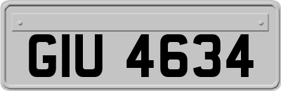 GIU4634