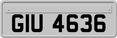 GIU4636