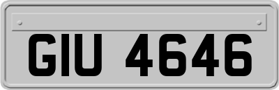 GIU4646
