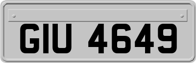 GIU4649